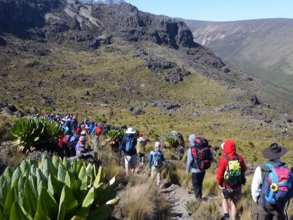 4 Days of Trekking Mount Kenya Through Sirimon – Chogoria Route