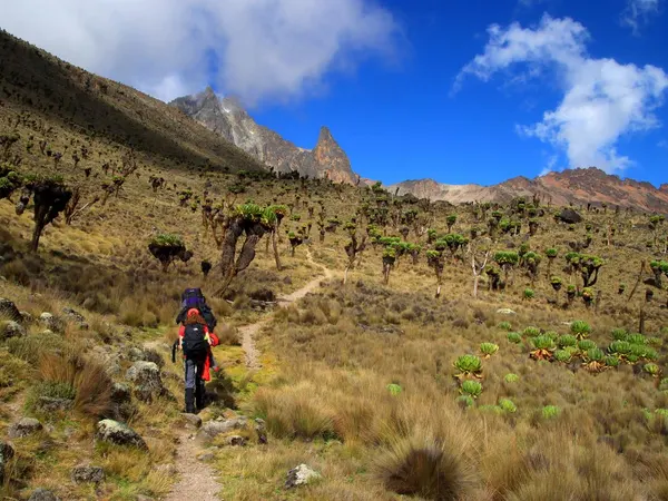 Climb Mount Kenya in 4 Days Via Sirimon - Naro Moru Route