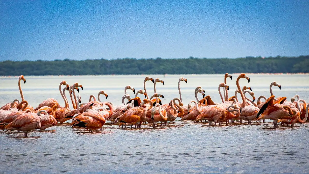 Lake Nakuru
