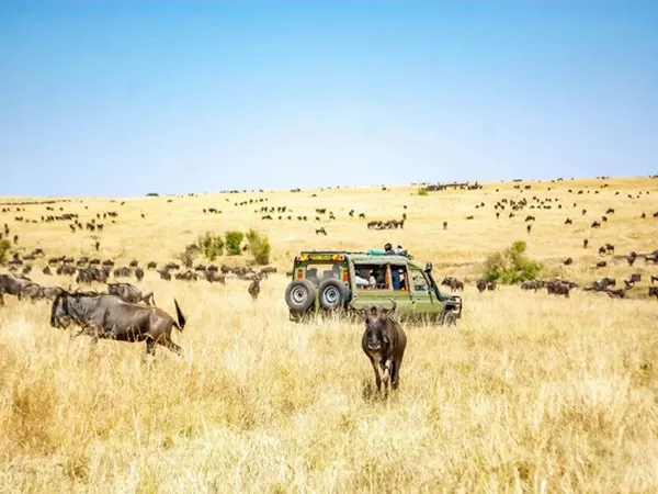 Maasai Mara National Reserve – Kenya’s Premier Safari Destination
