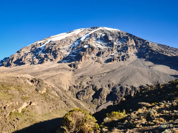 Climb Mount Kilimanjaro Via Lemosho Route 7-day Adventure