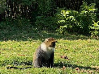 four days sirimon naro moru image 4