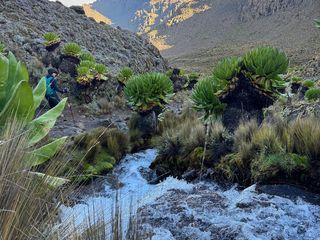 Mount Kenya technical climb 7 days image 4
