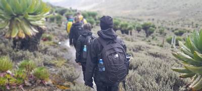 four days naro moru route image 4