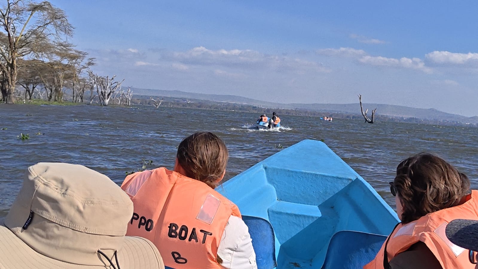 Kenya Safaris Lipa Mdogo Mdogo