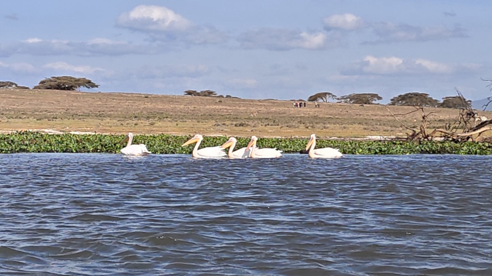 Kenya Corporate Retreat Tours
