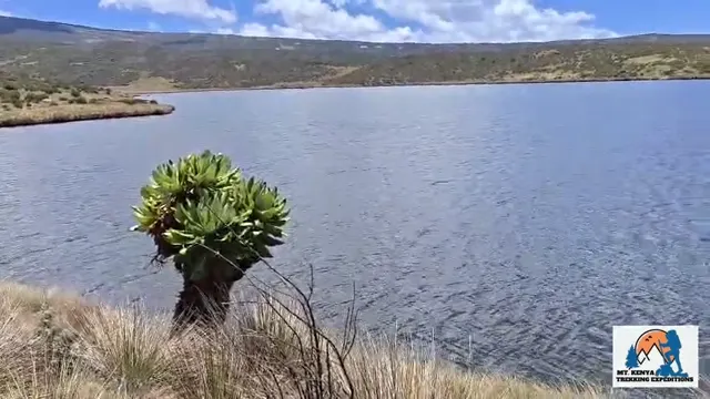 Beside the Lakes of Mount Kenya