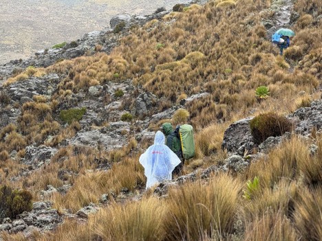 A hiker wearing a raincoat, another in rain jacket and s porter with umbrella on a Mount Kenya trail