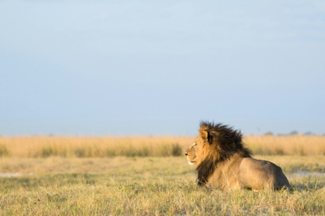 Maasai Mara National Reserve