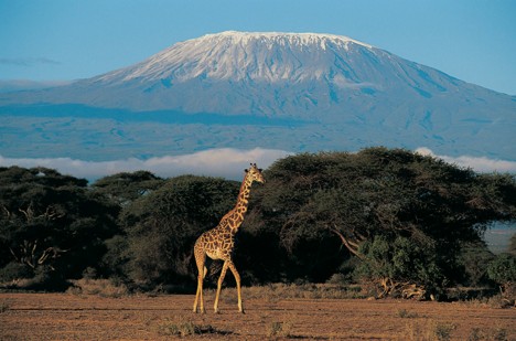 Amboseli National Park