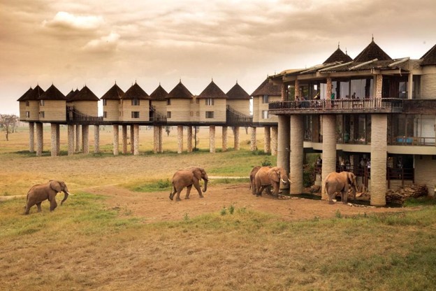 Comfort and style in Tsavo at the Salt Lick Safari lodge