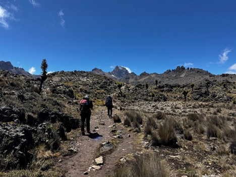 Two hikers trekking the Naro Moru Mount Kenya trail, the moorland zone with the peaks visible ahead