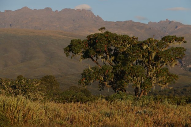 Mount Kenya landscape as seen on the Burguret route in the rainforest and bamboo zone