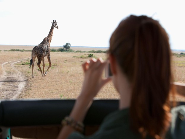 Safari traveller photographing a giraffe walking on the open plain during a Kenya safari tour
