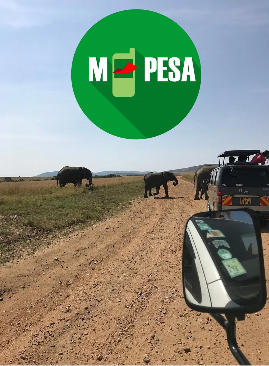 Flexible Safaris