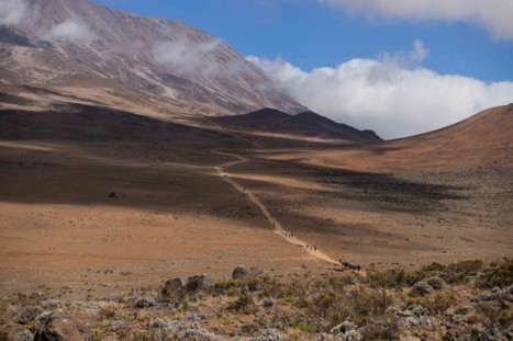The Shira Plateau landscape’s barren landscape with clear trail leading to Uhuru Peak Mt Kilimanjaro
