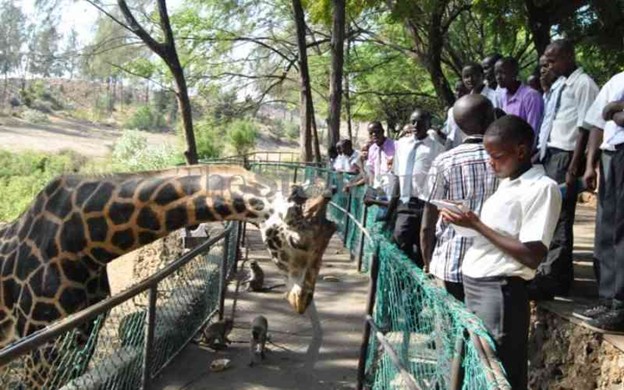 School Trips